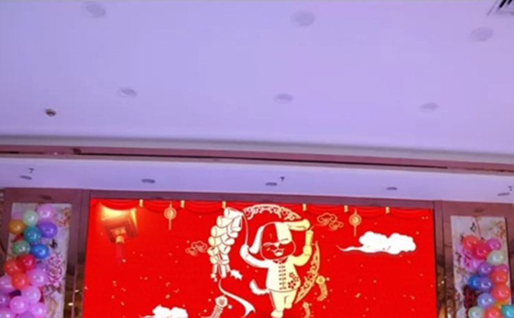 諾聲聲學2018聯歡晚會