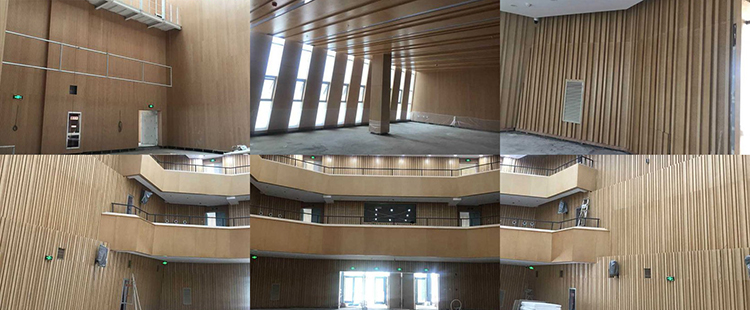 湖北武漢劇院聲學工程